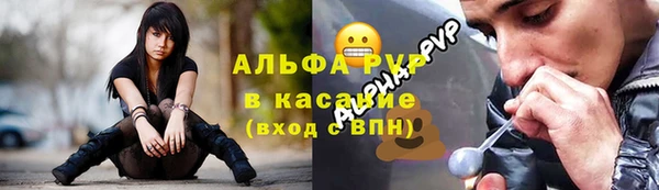 СК Зеленокумск