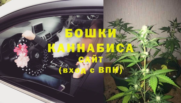 СК Зеленокумск