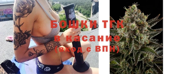 СК Зеленокумск